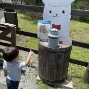 イズミ✨子育て奮闘中 発送翌日可能！の画像