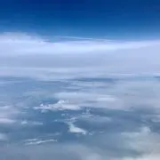 rの画像