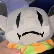 有の画像
