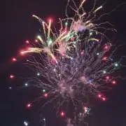 あんず飴の画像