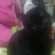 るる プロフ確認