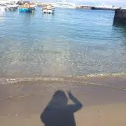 みーたんの画像