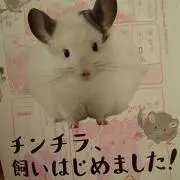 Sayapepeの画像