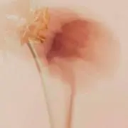 mruy__.の画像
