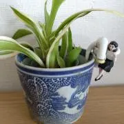 な