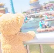 ✩.*˚S✩.*˚の画像