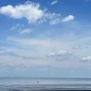 リーリエの画像