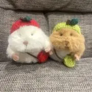 akiの画像