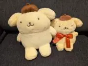 r sの画像