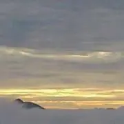 たむりん