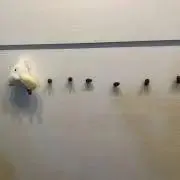 Chiの画像