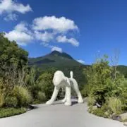 nomiの画像