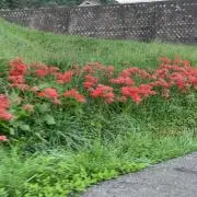 もの画像