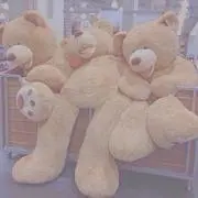 きなこもち