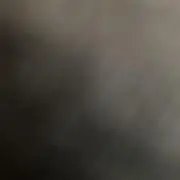 5beansの画像