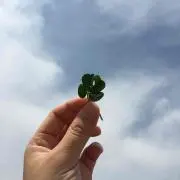 まるの画像