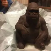 ゆかいな仲間
