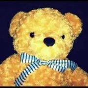 kuma☆