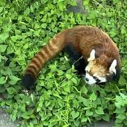 きよの画像