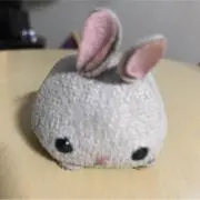 Mayの画像
