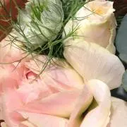はな✳︎プロフィール読んで下さい