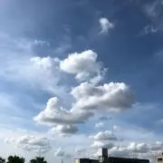 りんの画像