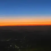 たまの画像