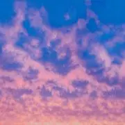 ひらぎの画像