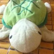 カメ吉