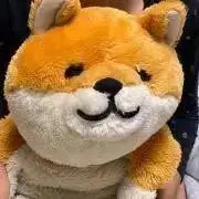 まりまりの画像