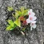 まるまるの画像