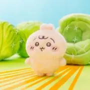 Rの画像