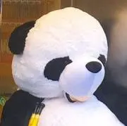 ぱんだ子の画像