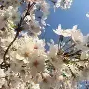まっちゃんの画像