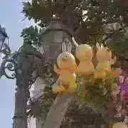 akiの画像