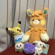 84s 休業中の画像
