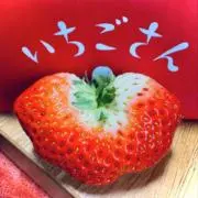 アリスの画像