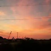 ゆきの画像