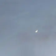 u.の画像