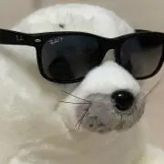 れいぽよの画像