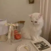 nana ☺︎の画像