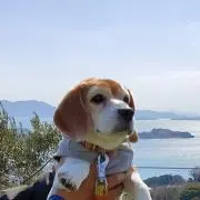 よしくん