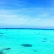 あじ(プロフィールご一読ください)の画像