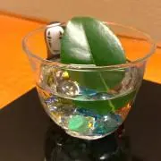 たちつててっちの画像