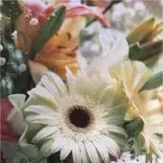 はる33の画像