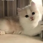 ARUIRUIの画像