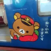 ひめぴぃの画像