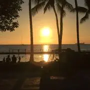アメリカン★の画像
