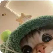 つなまよฅ⸃⸃の画像
