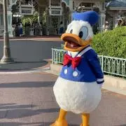 セシル ⭐︎プロフ必読の画像